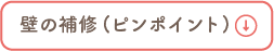 壁の補修（ピンポイント補修）